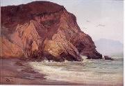 Henry Otto Wix Rocky Coast with Birds painting